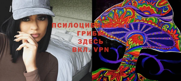 хмурый Гусев