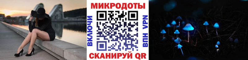Купить где  Каменка  Псилоцибиновые грибы Magic Shrooms 